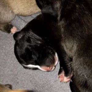 Meet your Posher, Nevaeh